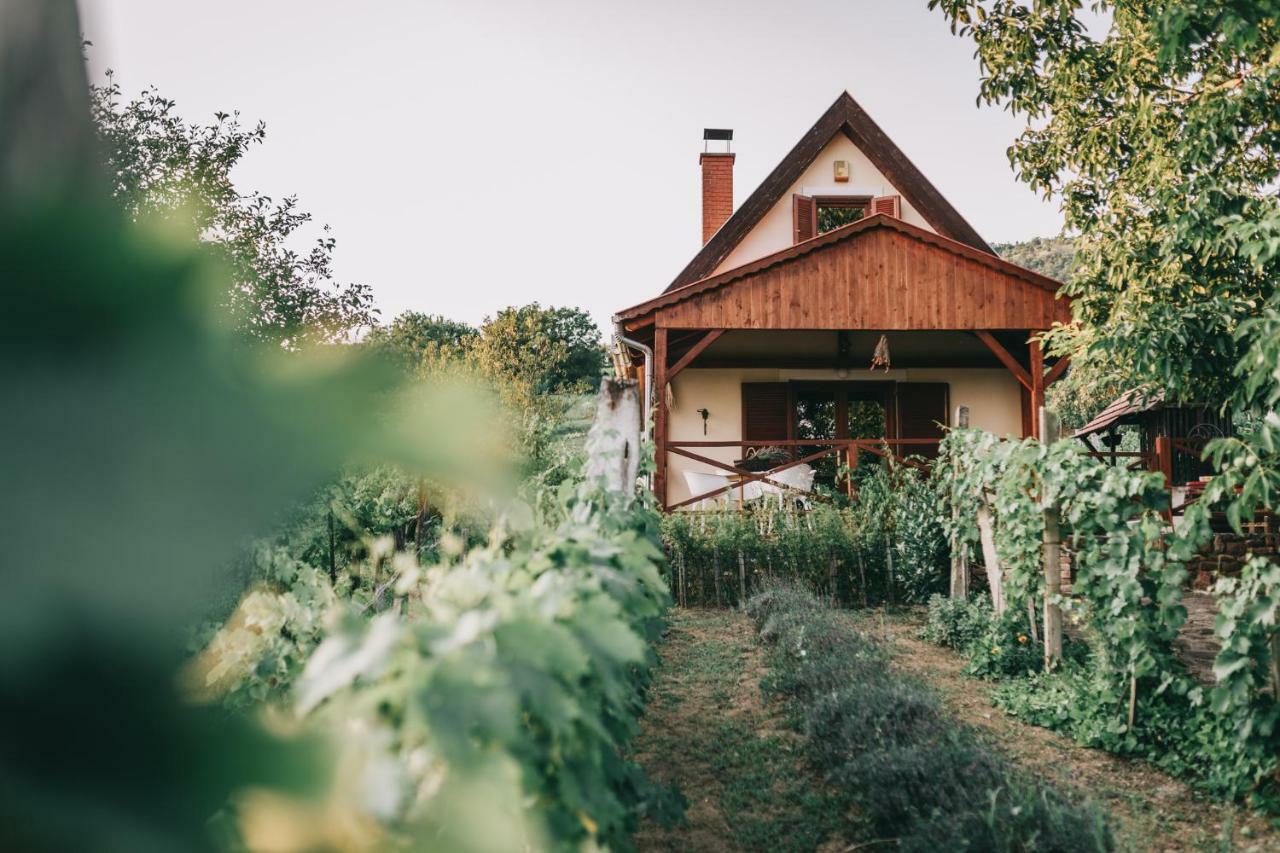 Szent Gyoergy Cottage Hegymagas 외부 사진