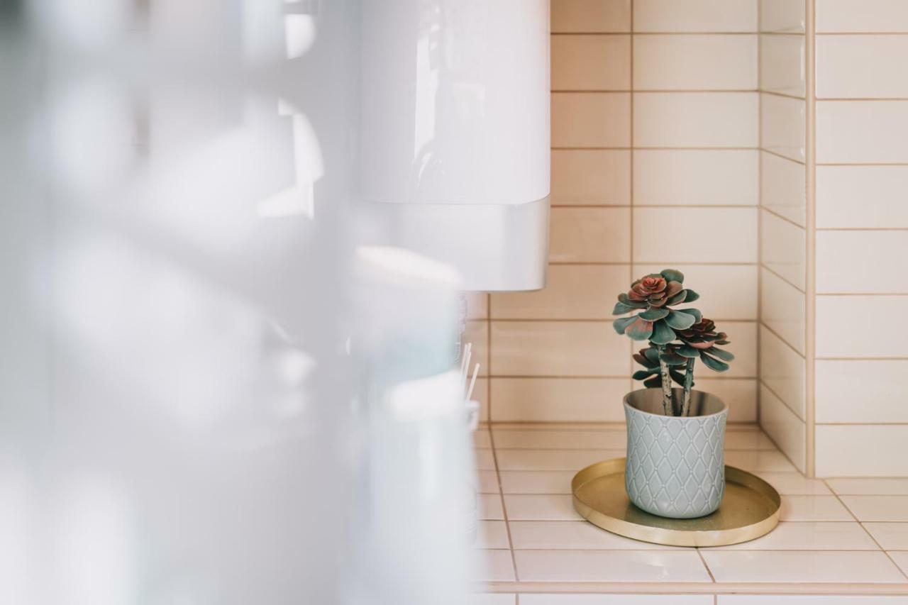 Szent Gyoergy Cottage Hegymagas 외부 사진